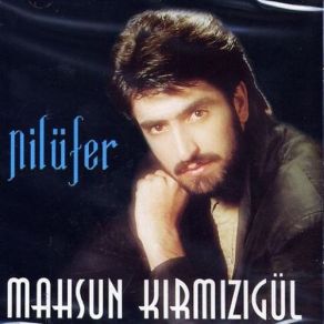 Nilüfer album cover
