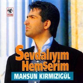 Sevdalıyım album cover