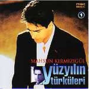 Yüzyılın Türküleri 2 album cover