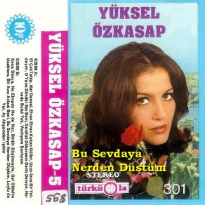 Bu Sevdaya Nerden Düştüm album cover