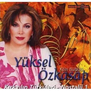 Kırk Yılın Türküleri album cover