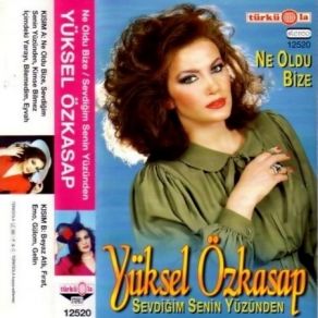 Ne Oldu Bize & Sevdiğim Senin Yüzünden album cover