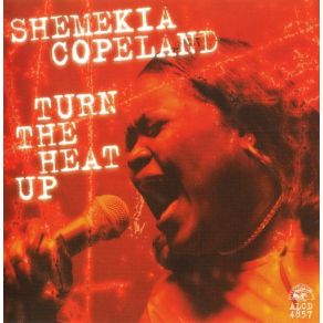 Turn The Heat Up album cover