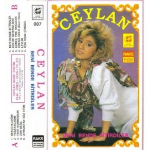 Beni Benden Bitirdiler album cover