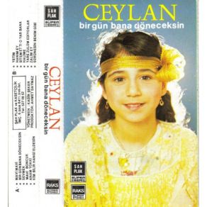 Bir Gün Bana Döneceksin album cover