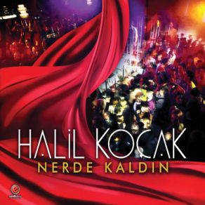 Nerde Kaldın album cover