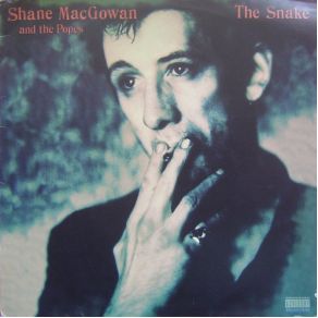 The Snake album cover