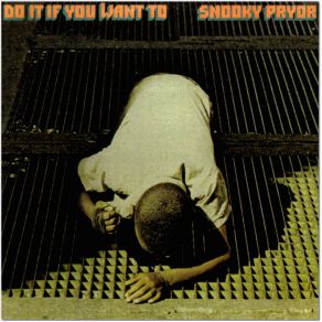 Do It If You Want album cover