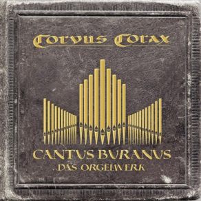 Cantus Buranus: Das Orgelwerk album cover