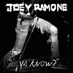 ... Ya Know? album cover