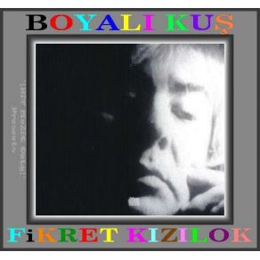 Boyalı Kuş album cover