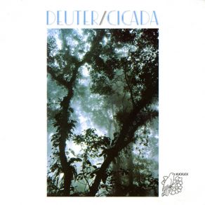 Cicada album cover