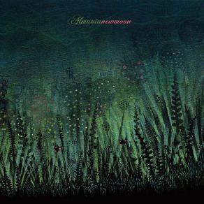 New Moon LP album cover