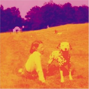 Blinking Lights And Other Revelations CD2 album cover