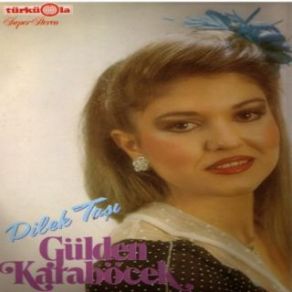 Dilek Taşı album cover