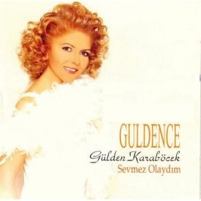 Sevmez Olaydım album cover
