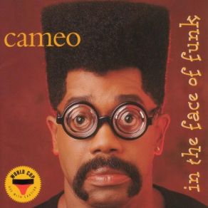 In The Face Of Funk album cover