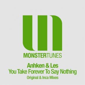 You Take Forever To Say Nothing album cover