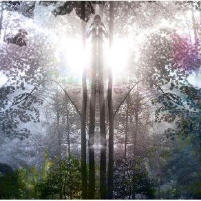 Flowering Mountain Earth (Single Relaxation) album cover