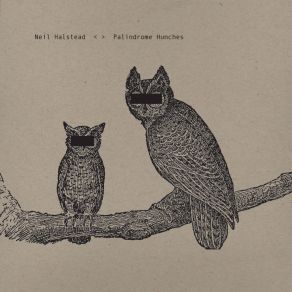 Palindrome Hunches album cover