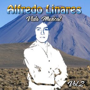 Vida Musical, Vol. 2 album cover