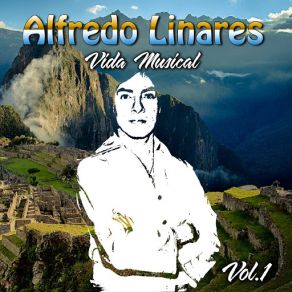 Vida Musical, Vol. 1 album cover