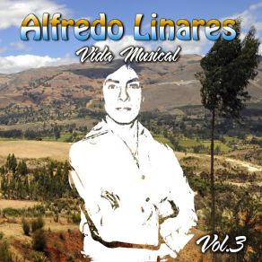 Vida Musical, Vol. 3 album cover
