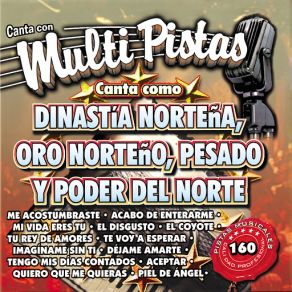 Canta Con Multi Pistas Canta Como Dinastia Norteña, Oro Norteño, Pesado Y Poder Del Norte album cover