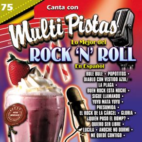 Canta Con Multi Pistas Lo Mejor Del Rock & Roll En Español album cover