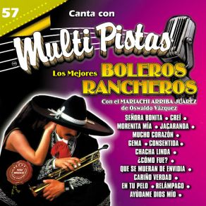 Canta Con Multi Pistas Los Mejores Boleros Rancheros album cover
