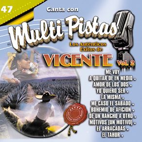 Canta Con Multi Pistas Los Auténticos Éxitos De Vicente Vol. 2 album cover