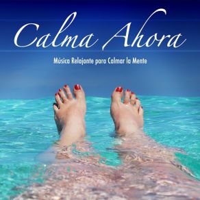 Calma Ahora: Música De Piano Para Relajarse Y Para Estudiar album cover