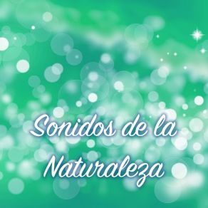 Sonidos De La Naturaleza - Los Mejores Sonidos Naturales Para Relajarse album cover