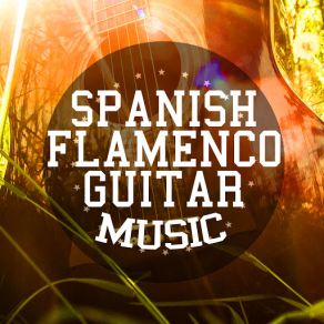 Spanish Flamenco Guitar Music album cover