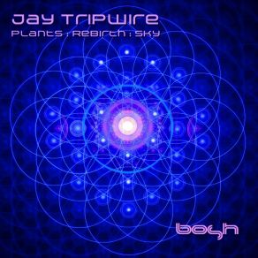 Plants Rebirth Sky (Maxi-Single) album cover