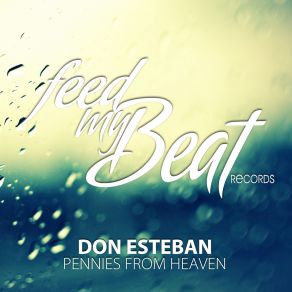 Pennies From Heaven (Maxi-Single) album cover