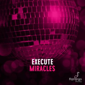 Miracles (Incl. Radio Edit) (Maxi-Single) album cover