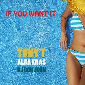 If You Want It (Maxi-Single) album cover