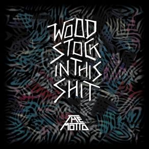 Woodstockinthisshit (Single) album cover