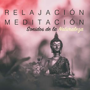 Relajación Y Meditación: Sonidos De La Naturaleza & Dulces Sueños Con Música Relajante Para Sanar El Alma (CD2) album cover