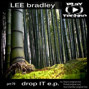 Drop It (Maxi-Single) album cover