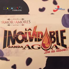 El Amor De Mis Amores album cover