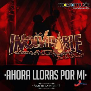 Ahora Lloras Por Mi (Single) album cover