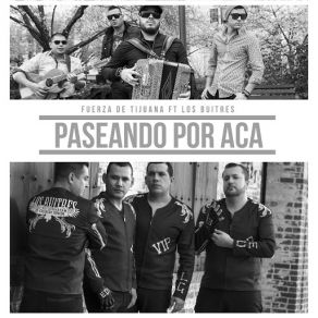 Paseando Por Aca (Los Buitres) (Single) album cover