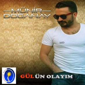 Gülün Olayım (Single) album cover