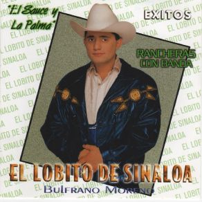 Exitos album cover