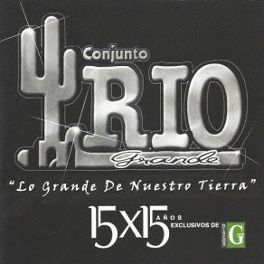 15 X 15 Años album cover