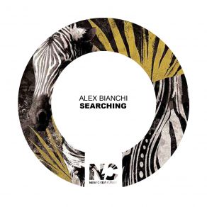 Searching (Single) album cover