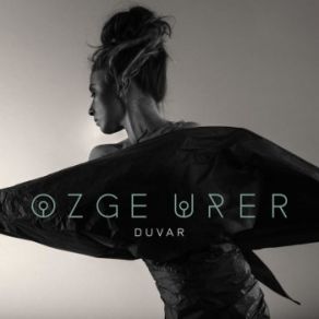 Duvar album cover