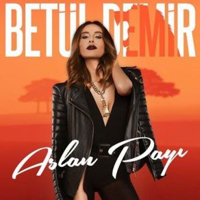 Aslan Payı (Maxi-Single) album cover